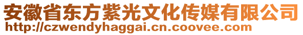 安徽省東方紫光文化傳媒有限公司