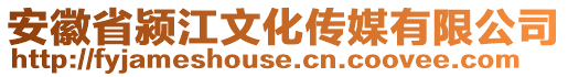 安徽省潁江文化傳媒有限公司