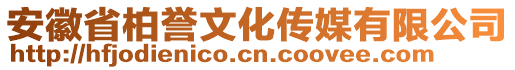 安徽省柏譽(yù)文化傳媒有限公司