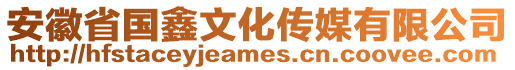 安徽省國鑫文化傳媒有限公司