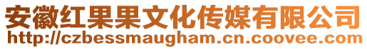 安徽紅果果文化傳媒有限公司