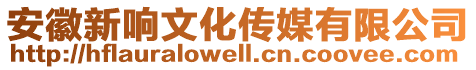 安徽新響文化傳媒有限公司