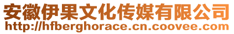 安徽伊果文化傳媒有限公司