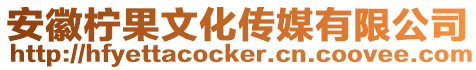 安徽檸果文化傳媒有限公司