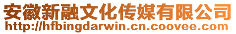 安徽新融文化傳媒有限公司