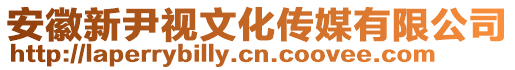 安徽新尹視文化傳媒有限公司