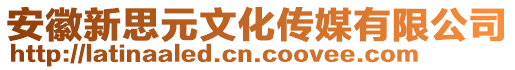 安徽新思元文化傳媒有限公司