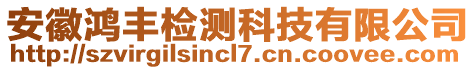 安徽鴻豐檢測科技有限公司