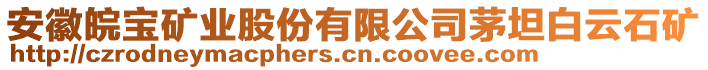 安徽皖寶礦業(yè)股份有限公司茅坦白云石礦