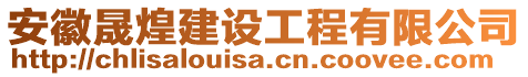 安徽晟煌建設工程有限公司