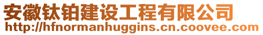 安徽鈦鉑建設(shè)工程有限公司