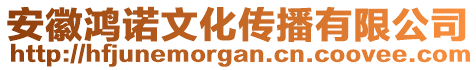 安徽鴻諾文化傳播有限公司