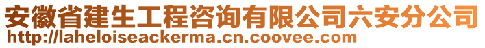 安徽省建生工程咨詢有限公司六安分公司