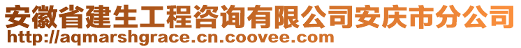 安徽省建生工程咨詢有限公司安慶市分公司