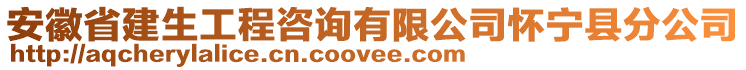 安徽省建生工程咨詢有限公司懷寧縣分公司