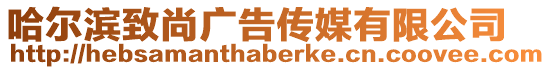 哈爾濱致尚廣告?zhèn)髅接邢薰? style=