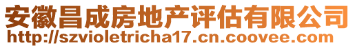 安徽昌成房地產(chǎn)評(píng)估有限公司