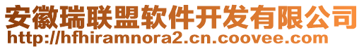 安徽瑞聯盟軟件開發(fā)有限公司