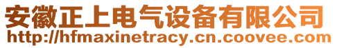 安徽正上電氣設(shè)備有限公司