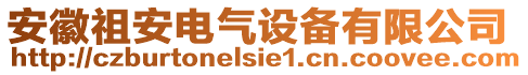 安徽祖安電氣設(shè)備有限公司