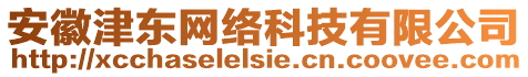 安徽津東網(wǎng)絡(luò)科技有限公司