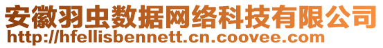 安徽羽蟲(chóng)數(shù)據(jù)網(wǎng)絡(luò)科技有限公司