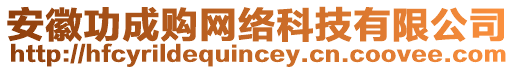 安徽功成購網(wǎng)絡(luò)科技有限公司