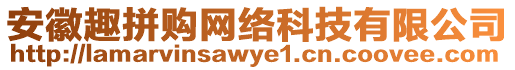 安徽趣拼購(gòu)網(wǎng)絡(luò)科技有限公司