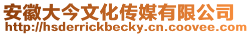 安徽大今文化傳媒有限公司