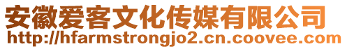 安徽愛客文化傳媒有限公司