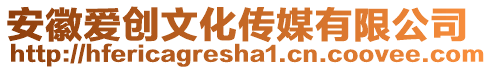 安徽愛(ài)創(chuàng)文化傳媒有限公司