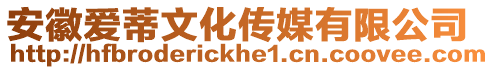 安徽愛蒂文化傳媒有限公司