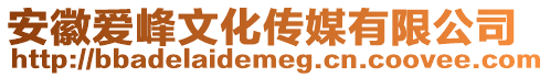 安徽愛峰文化傳媒有限公司