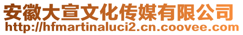 安徽大宣文化傳媒有限公司