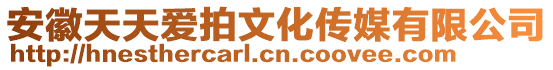 安徽天天愛拍文化傳媒有限公司