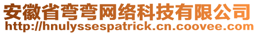 安徽省彎彎網(wǎng)絡(luò)科技有限公司