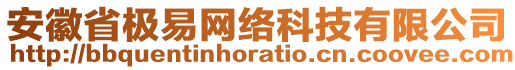 安徽省極易網(wǎng)絡科技有限公司