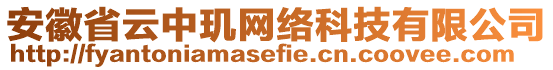 安徽省云中璣網(wǎng)絡(luò)科技有限公司