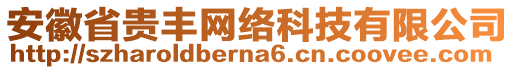 安徽省貴豐網(wǎng)絡(luò)科技有限公司