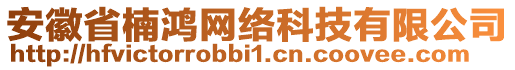 安徽省楠鴻網(wǎng)絡(luò)科技有限公司