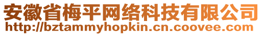 安徽省梅平網(wǎng)絡(luò)科技有限公司