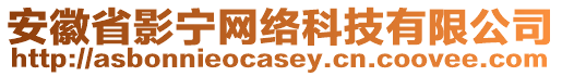 安徽省影寧網(wǎng)絡(luò)科技有限公司