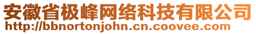 安徽省極峰網(wǎng)絡(luò)科技有限公司