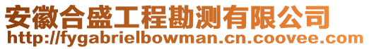 安徽合盛工程勘測有限公司