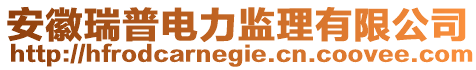 安徽瑞普電力監(jiān)理有限公司