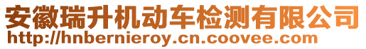 安徽瑞升機動車檢測有限公司