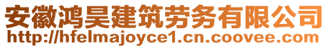 安徽鴻昊建筑勞務有限公司