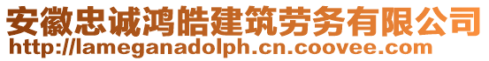 安徽忠誠鴻皓建筑勞務有限公司