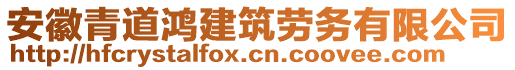 安徽青道鴻建筑勞務有限公司