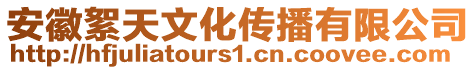 安徽絮天文化傳播有限公司
